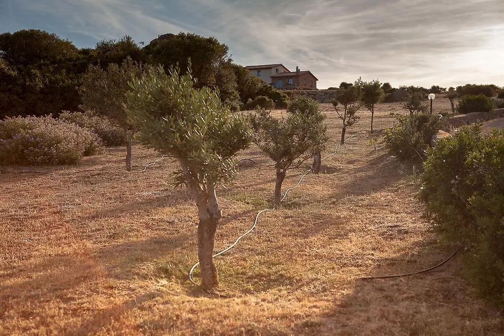 Agriturismo Nuraghe Tuttusoni Aglientu Alloggio per agriturismo